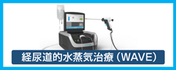 経尿道的水蒸気治療 WAVE