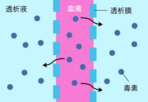 HD拡散イメージ